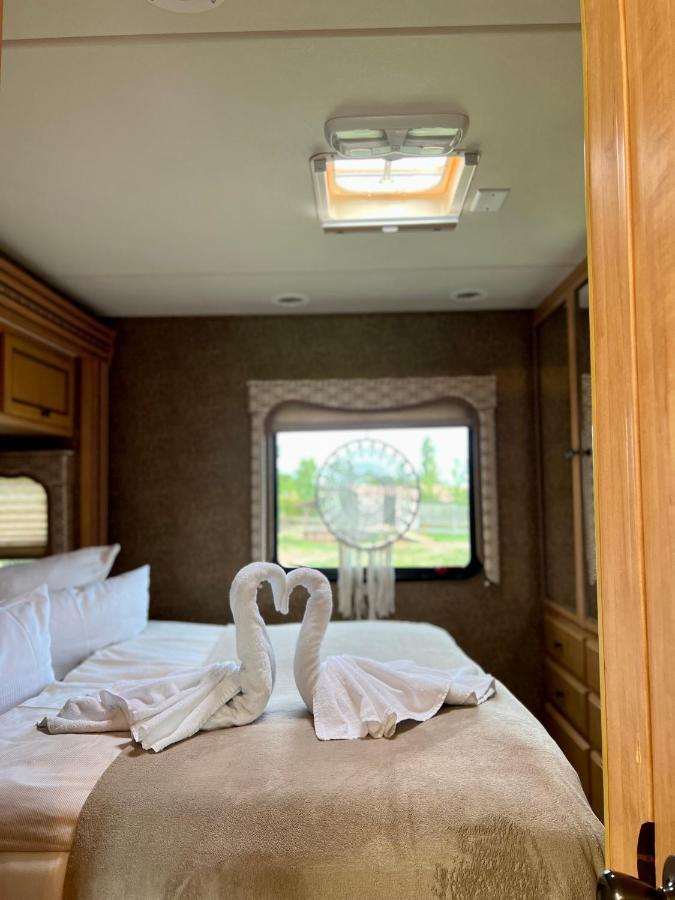 דירות Lieblingsplatz Parey - Tiny House מראה חיצוני תמונה