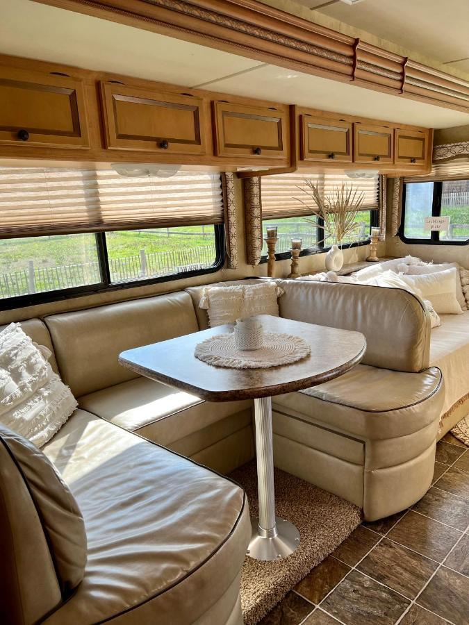 דירות Lieblingsplatz Parey - Tiny House מראה חיצוני תמונה